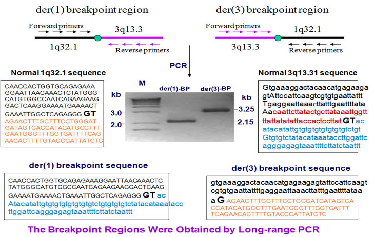 Sequencing of 1q-3q breakpoints